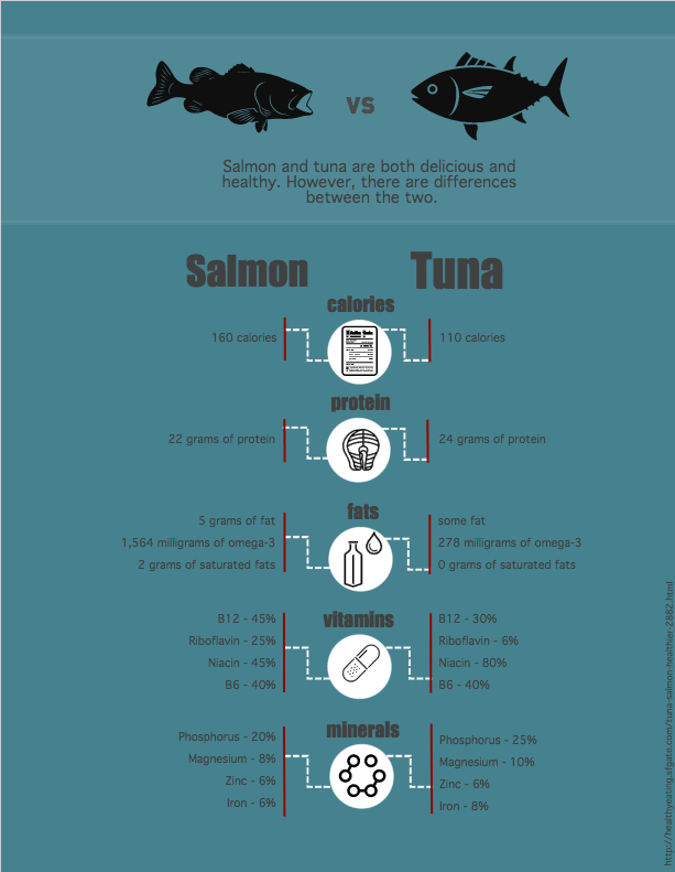 Salmon Vs. Tuna – Infographic | Ready, Bento, Go!